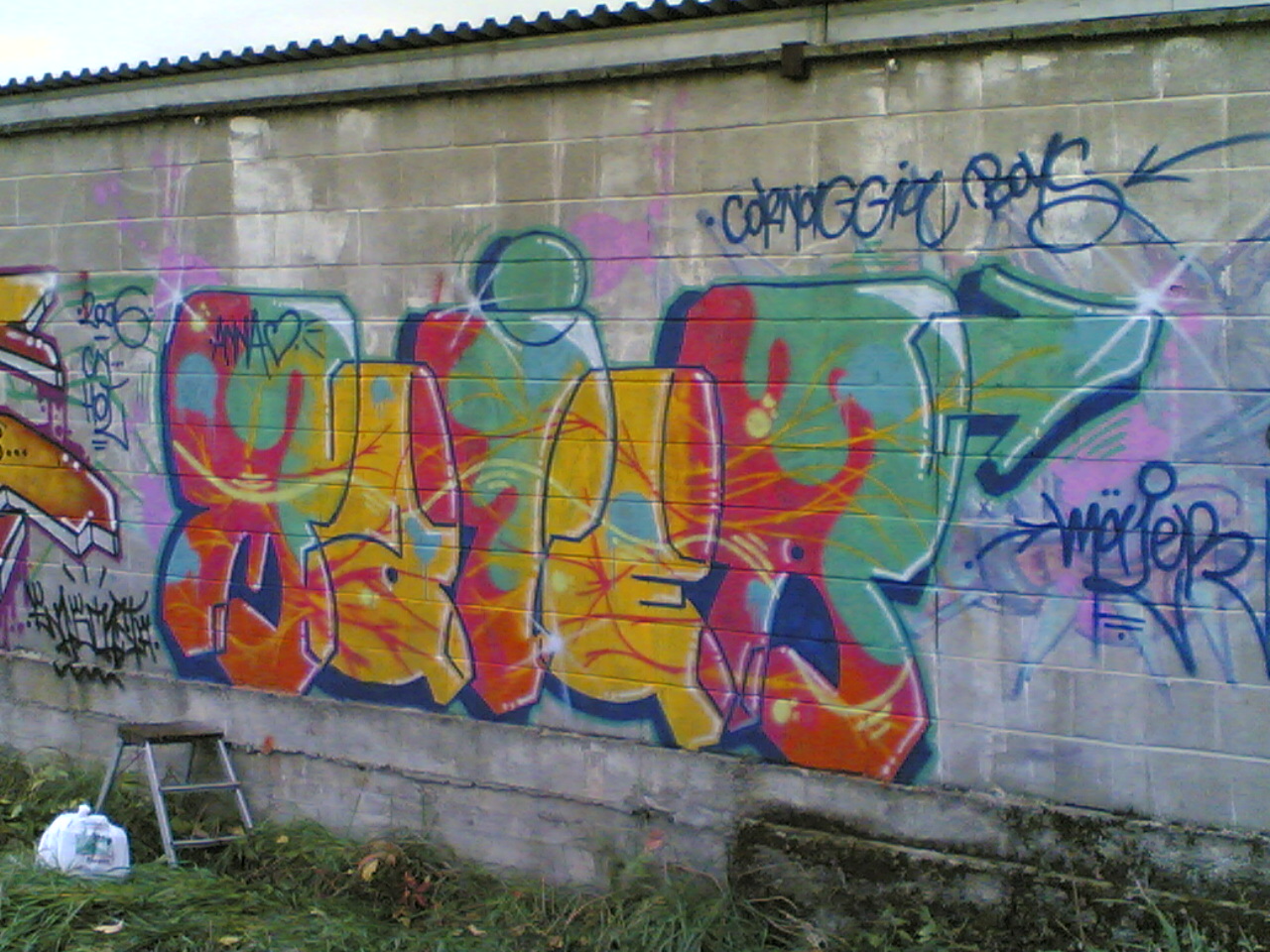 MAIER  SETTIMO